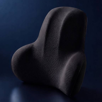 Almofada Lombar Ergonômica  - Ergofy